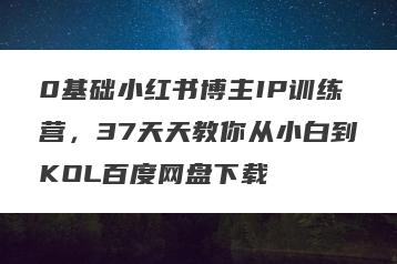 0基础小红书博主IP训练营，37天天教你从小白到KOL百度网盘下载