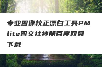 专业图像校正漂白工具PM lite图文社神器百度网盘下载