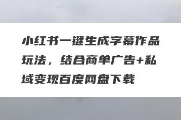 小红书一键生成字幕作品玩法,结合商单广告+私域变现百度网盘下载