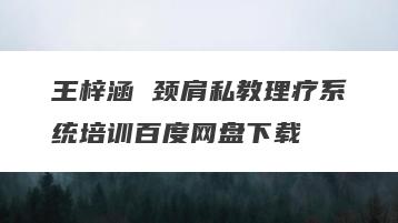 王梓涵 颈肩私教理疗系统培训百度网盘下载