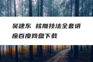 吴建东 核雕技法全套讲座百度网盘下载