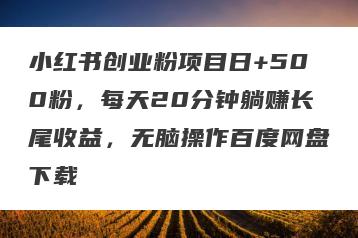 小红书创业粉项目日+500粉，每天20分钟躺赚长尾收益，无脑操作百度网盘下载