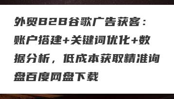 外贸B2B谷歌广告获客:账户搭建+关键词优化+数据分析,低成本获取精准询盘百度网盘下载