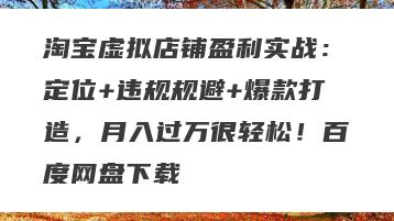 淘宝虚拟店铺盈利实战:定位+违规规避+爆款打造,月入过万很轻松!百度网盘下载