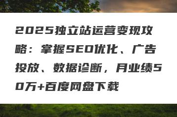 2025独立站运营变现攻略:掌握SEO优化、广告投放、数据诊断,月业绩50万+百度网盘下载