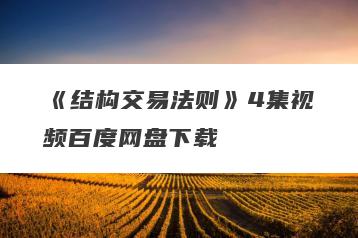 《结构交易法则》4集视频百度网盘下载