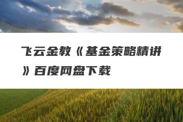 飞云金教《基金策略精讲》百度网盘下载