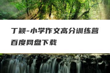 丁颖-小学作文高分训练营百度网盘下载
