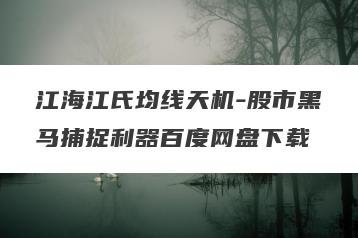 江海江氏均线天机-股市黑马捕捉利器百度网盘下载