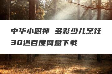 中华小厨神 多彩少儿烹饪30道百度网盘下载