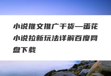 小说推文推广干货—蛋花小说拉新玩法详解百度网盘下载
