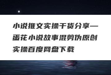 小说推文实操干货分享—蛋花小说故事混剪伪原创实操百度网盘下载