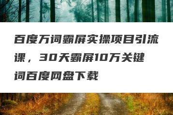 百度万词霸屏实操项目引流课，30天霸屏10万关键词百度网盘下载