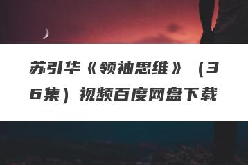 苏引华《领袖思维》（36集）视频百度网盘下载