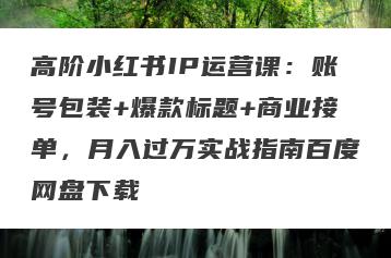 高阶小红书IP运营课：账号包装+爆款标题+商业接单，月入过万实战指南百度网盘下载