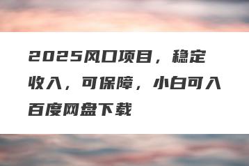 2025风口项目，稳定收入，可保障，小白可入百度网盘下载