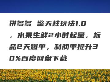 拼多多 擎天柱玩法1.0，水果生鲜2小时起量，标品2天爆单，利润率提升30%百度网盘下载
