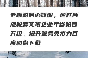老板税务必修课，通过合规税筹实现企业年省税百万级，提升税务免疫力百度网盘下载