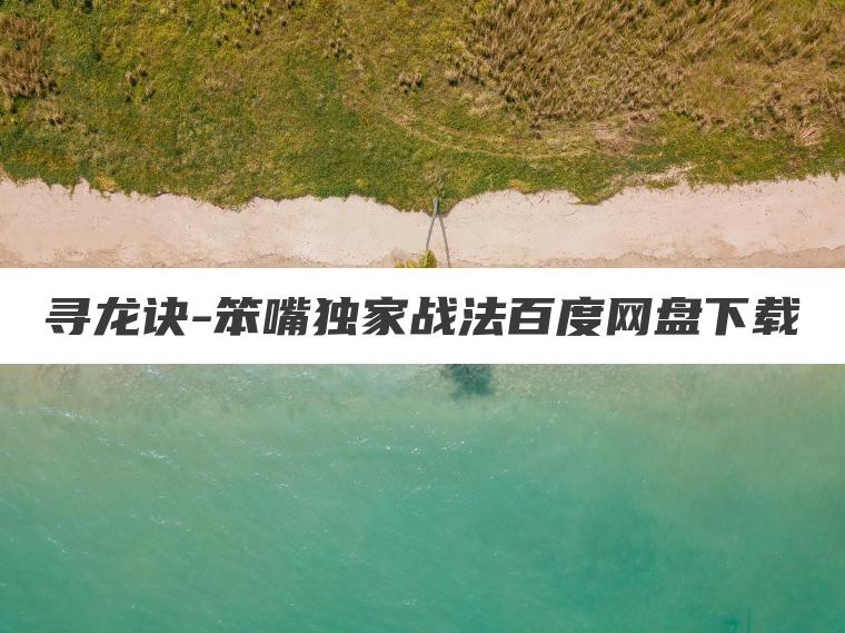 寻龙诀-笨嘴独家战法百度网盘下载