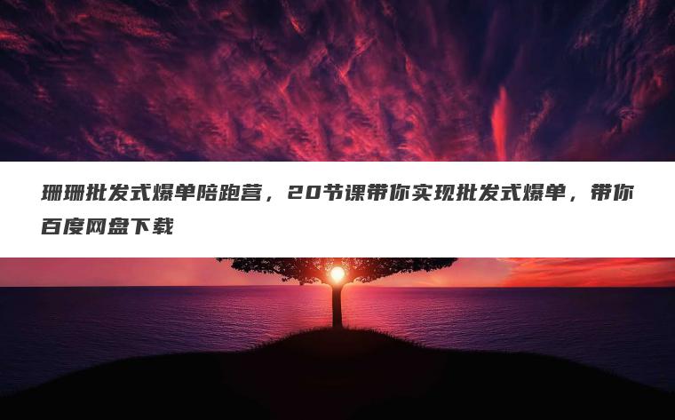 珊珊批发式爆单陪跑营，20节课带你实现批发式爆单，带你百度网盘下载