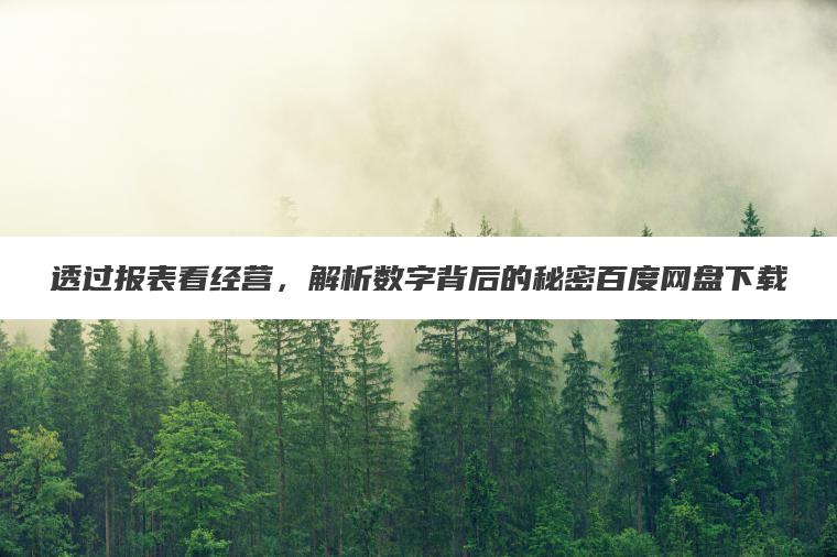 透过报表看经营，解析数字背后的秘密百度网盘下载