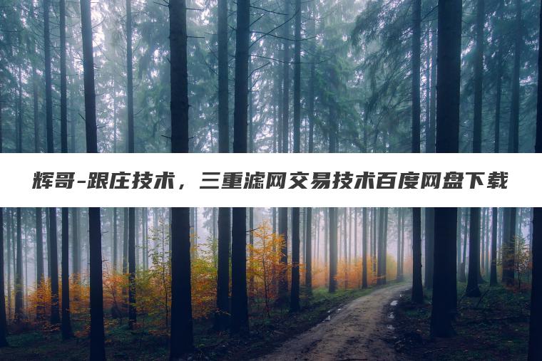 辉哥-跟庄技术，三重滤网交易技术百度网盘下载