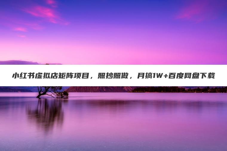 小红书虚拟店矩阵项目，照抄照做，月搞1W+百度网盘下载