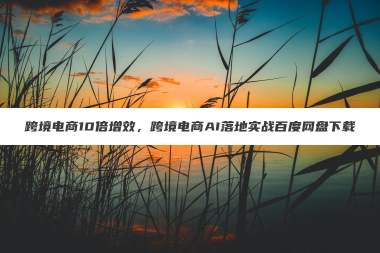 跨境电商10倍增效，跨境电商AI落地实战百度网盘下载