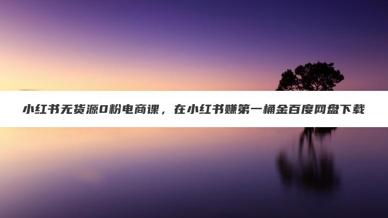 小红书无货源0粉电商课，在小红书赚第一桶金百度网盘下载