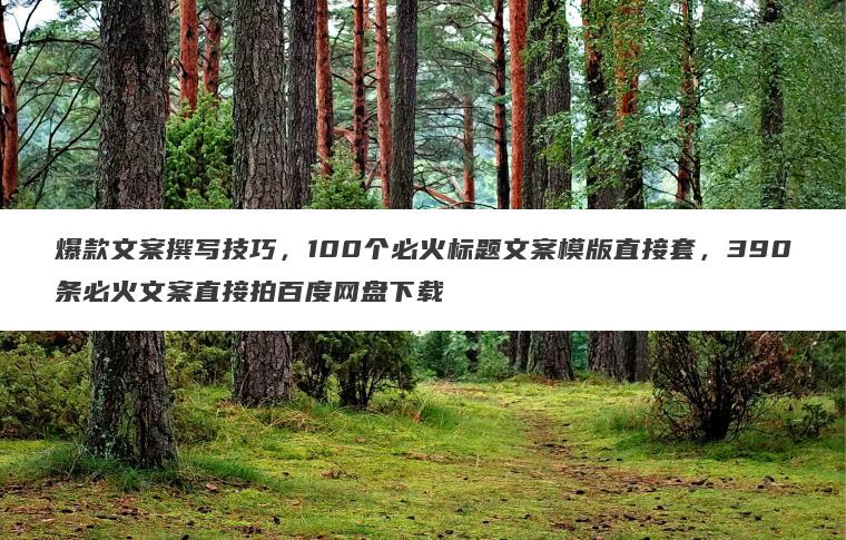 爆款文案撰写技巧，100个必火标题文案模版直接套，390条必火文案直接拍百度网盘下载