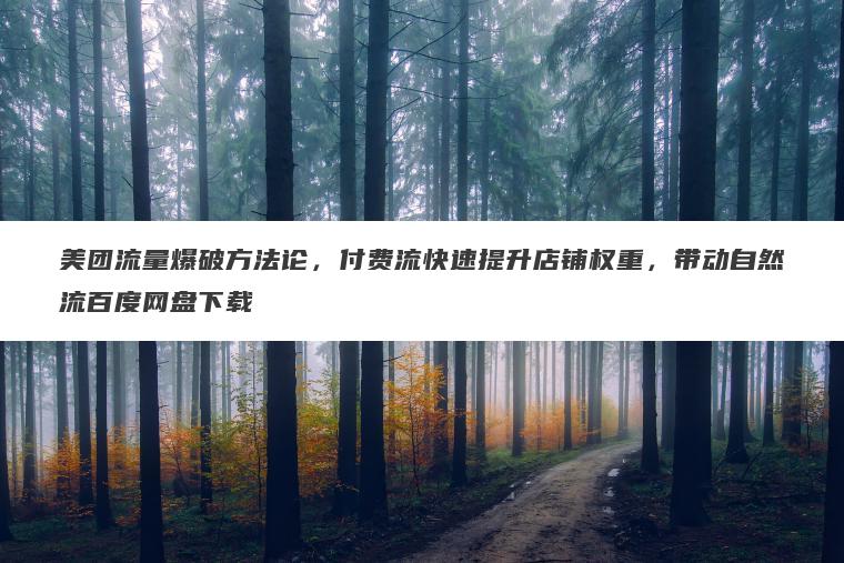 美团流量爆破方法论，付费流快速提升店铺权重，带动自然流百度网盘下载