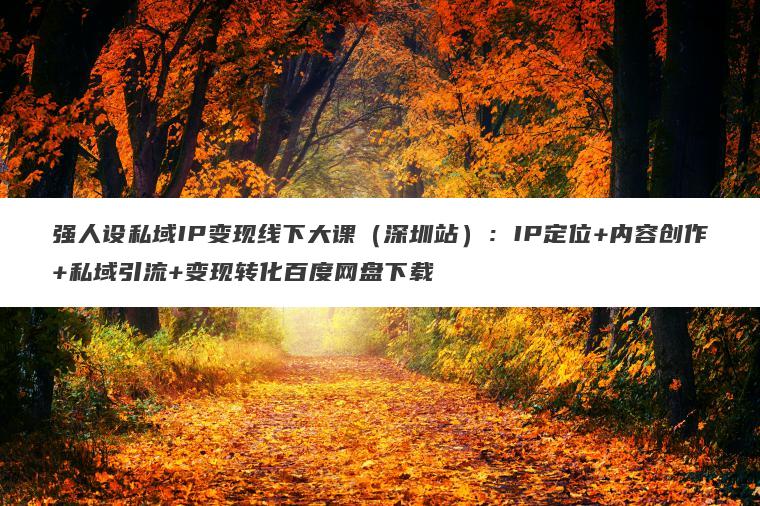 强人设私域IP变现线下大课（深圳站）：IP定位+内容创作+私域引流+变现转化百度网盘下载