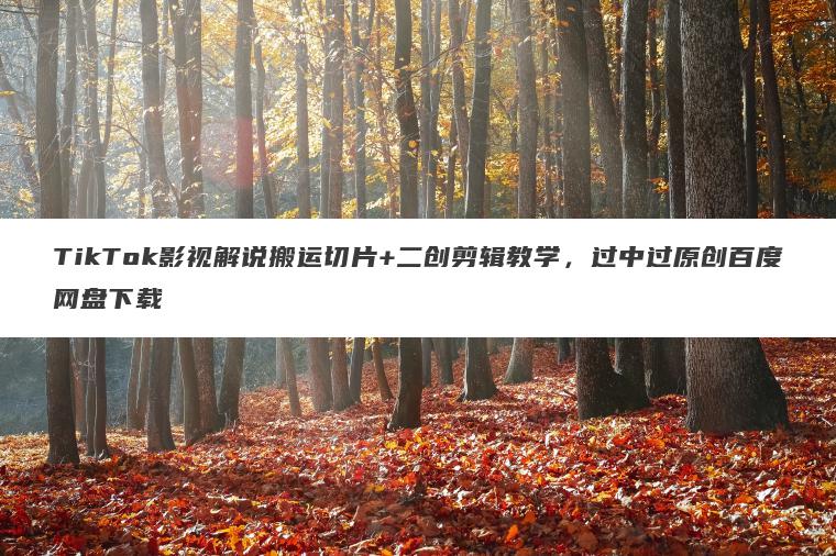 TikTok影视解说搬运切片+二创剪辑教学，过中过原创百度网盘下载