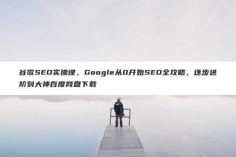 谷歌SEO实操课，Google从0开始SEO全攻略，逐步进阶到大神百度网盘下载