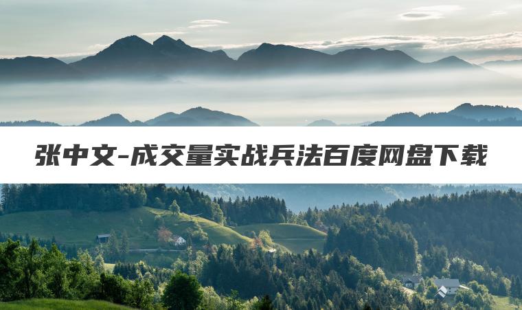 张中文-成交量实战兵法百度网盘下载