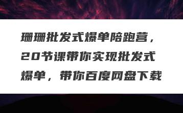 珊珊批发式爆单陪跑营，20节课带你实现批发式爆单，带你百度网盘下载
