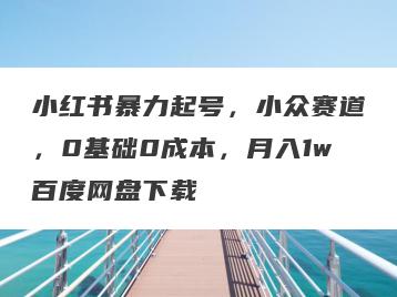 小红书暴力起号，小众赛道，0基础0成本，月入1w百度网盘下载
