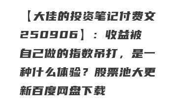【大佳的投资笔记付费文250906】：收益被自己做的指数吊打，是一种什么体验？股票池大更新百度网盘下载