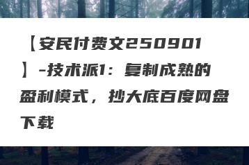 【安民付费文250901】-技术派1：复制成熟的盈利模式，抄大底百度网盘下载