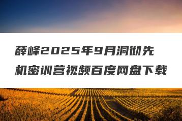 薛峰2025年9月洞彻先机密训营视频百度网盘下载