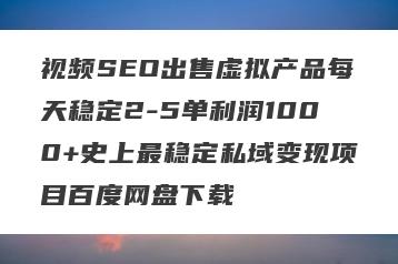 视频SEO出售虚拟产品每天稳定2-5单利润1000+史上最稳定私域变现项目百度网盘下载