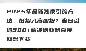 2025年最新独家引流方法，低投入高回报？当日引流300+精准创业粉百度网盘下载