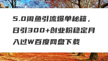 5.0闲鱼引流爆单秘籍，日引300+创业粉稳定月入过W百度网盘下载