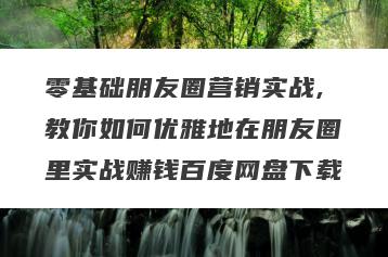 零基础朋友圈营销实战,教你如何优雅地在朋友圈里实战赚钱百度网盘下载