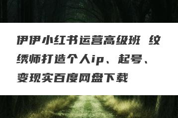 伊伊小红书运营高级班 纹绣师打造个人ip、起号、变现实百度网盘下载