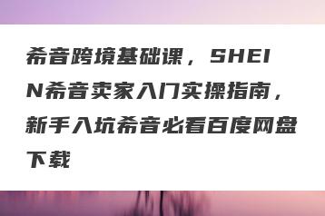 希音跨境基础课，SHEIN希音卖家入门实操指南，新手入坑希音必看百度网盘下载