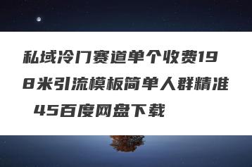 私域冷门赛道单个收费198米引流模板简单人群精准 45百度网盘下载
