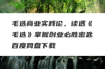 毛选商业实践论，读透《毛选》掌握创业必胜密匙百度网盘下载