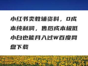 小红书卖教辅资料，0成本纯利润，售后成本极低小白也能月入过W百度网盘下载