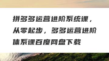 拼多多运营进阶系统课，从零起步，多多运营进阶体系课百度网盘下载